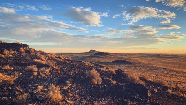 New Mexico BDR